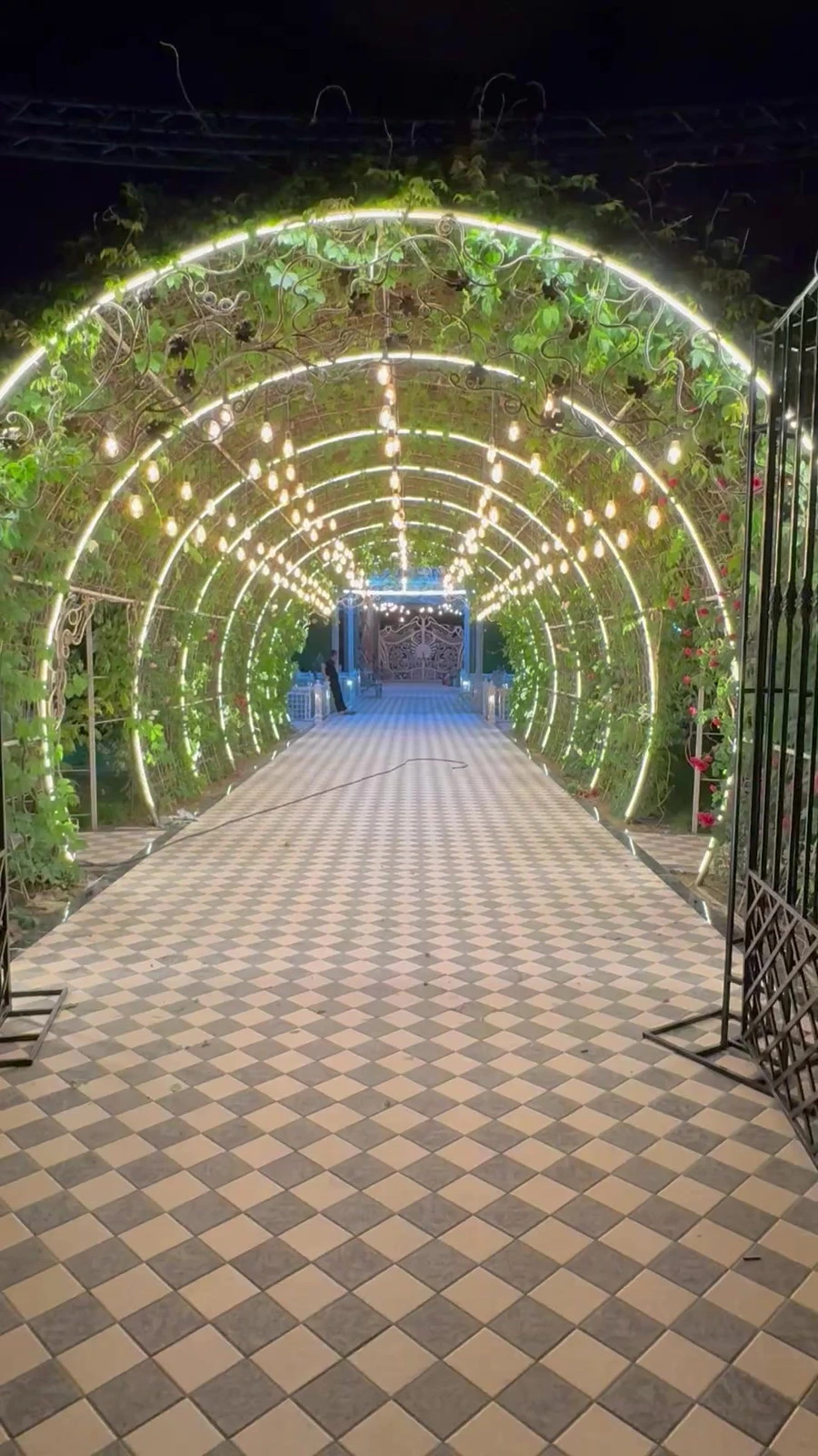 Miracle Garden