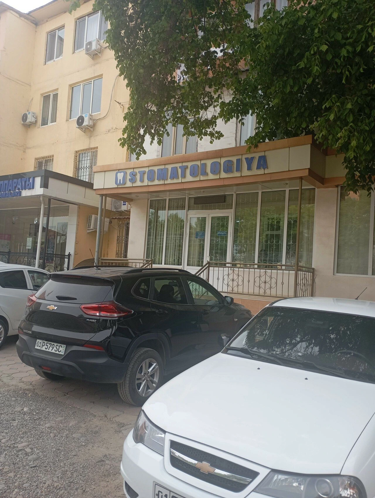 Mirobid dental