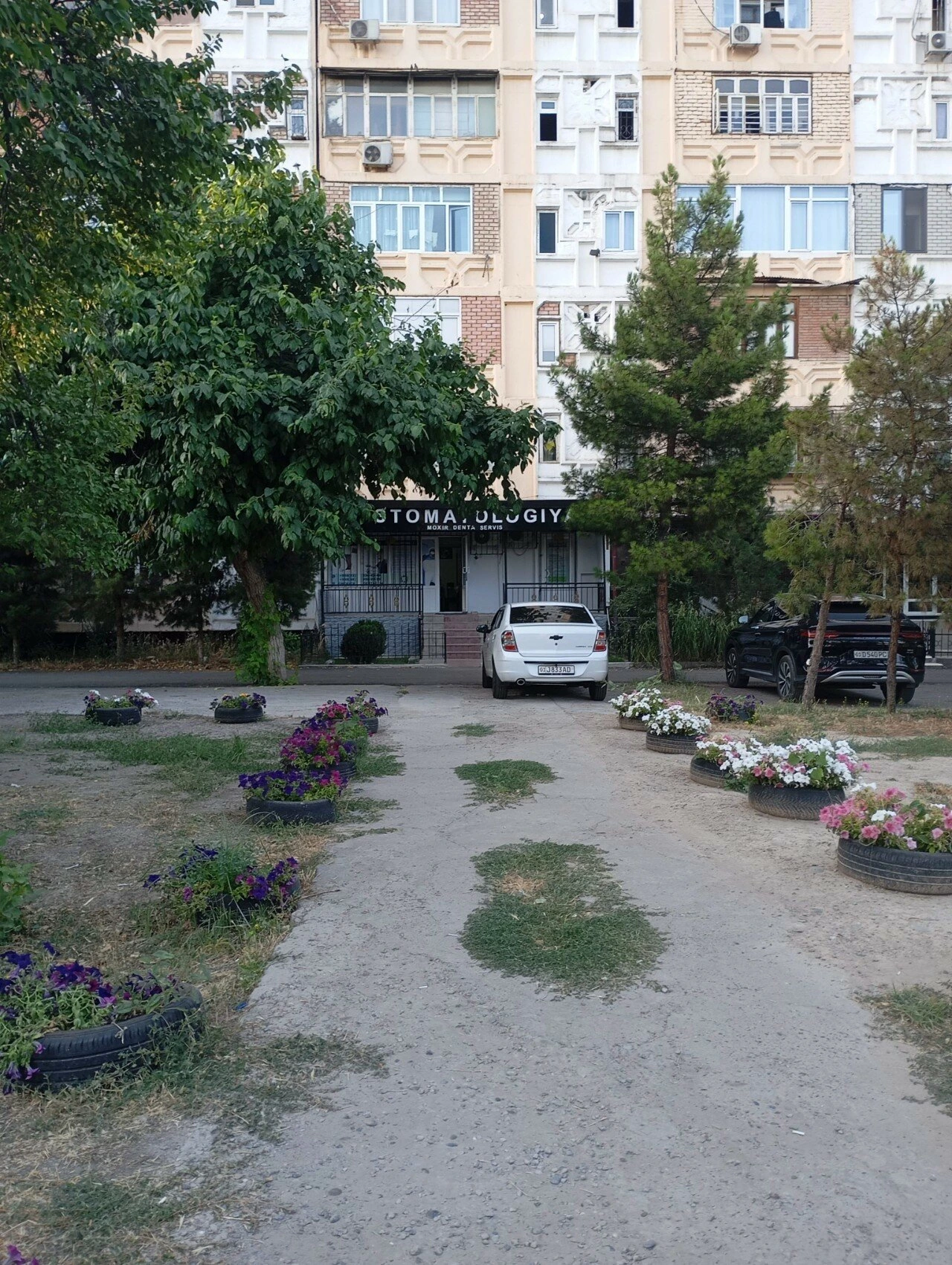 Moxir