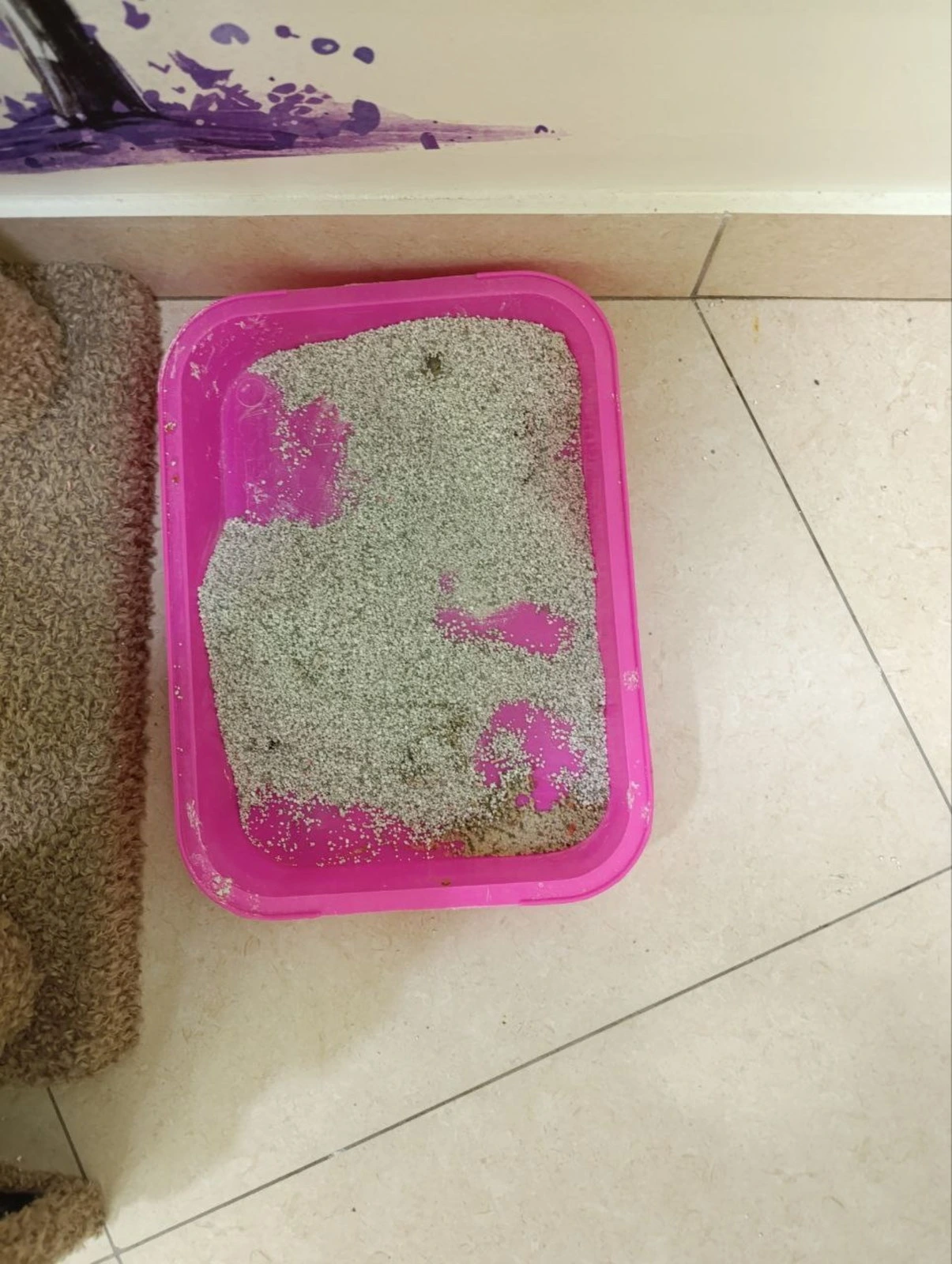 MyVet