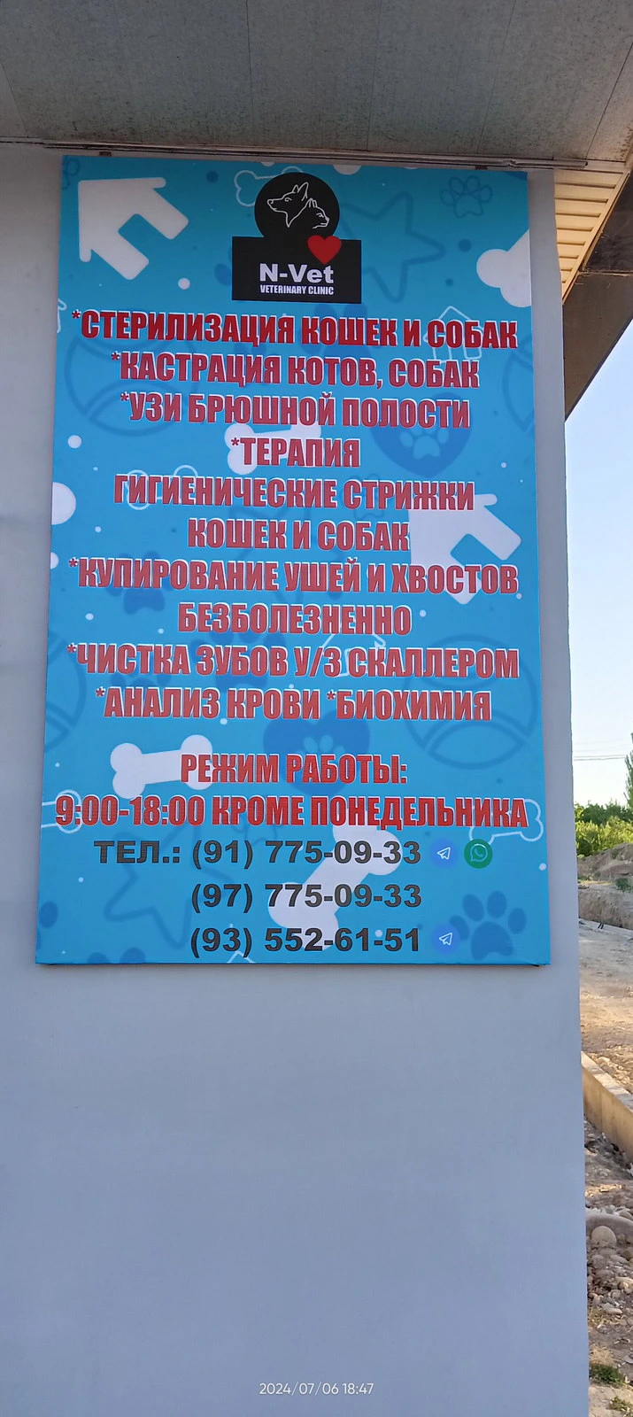 N-Vet clinic, ветеринарная клиника