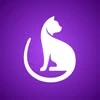 Neko academy