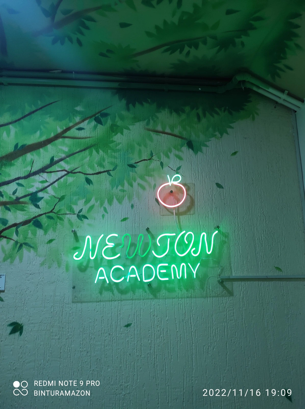 Newton academy