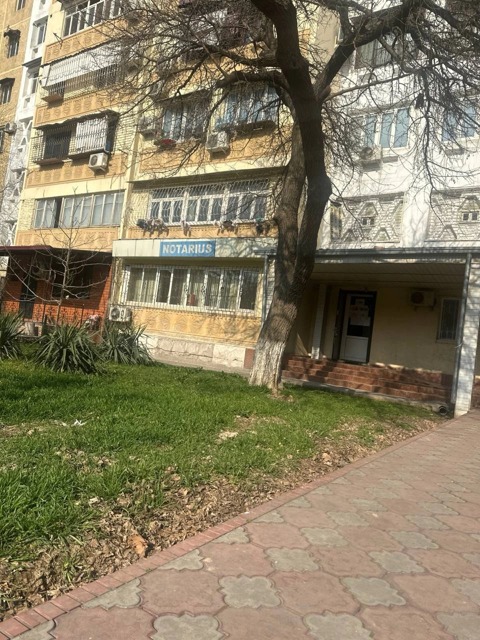 Нотариус