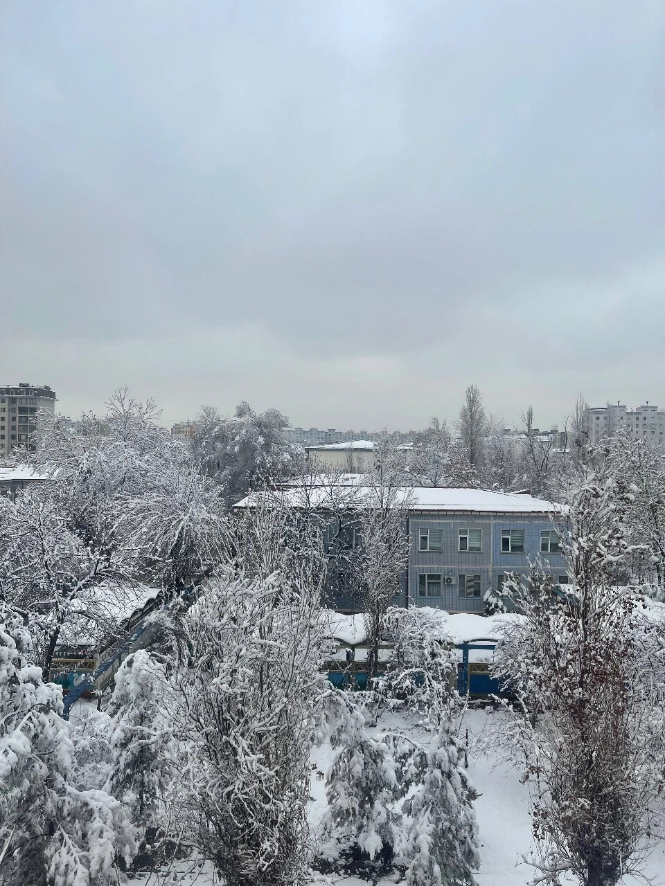 Obduli Ota Sulolasi