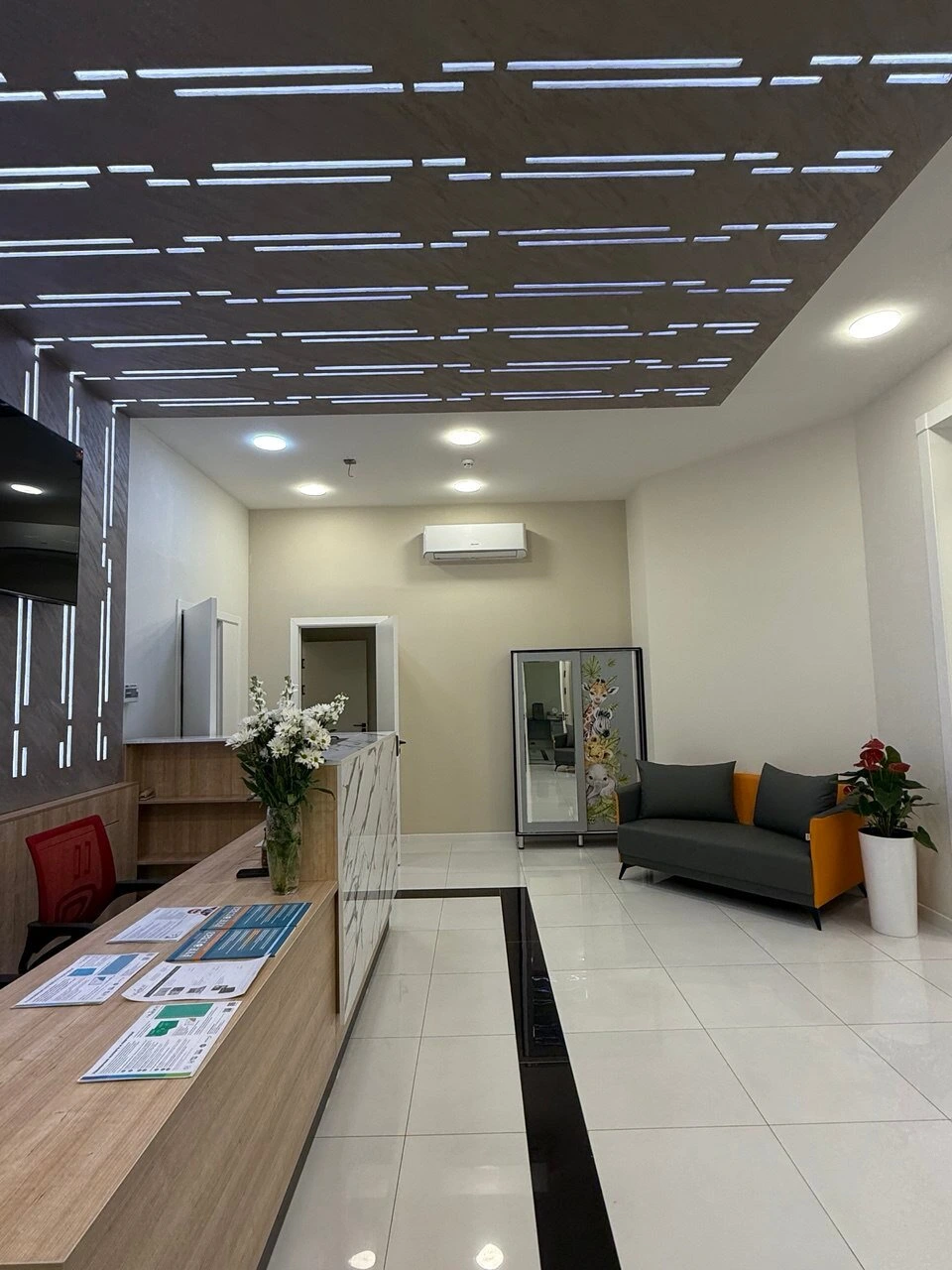Okvision technology