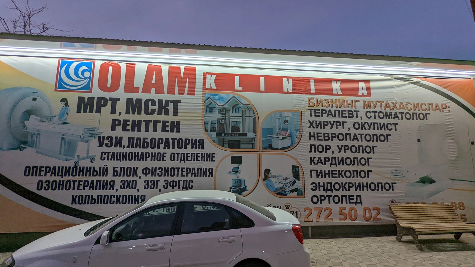 Olam