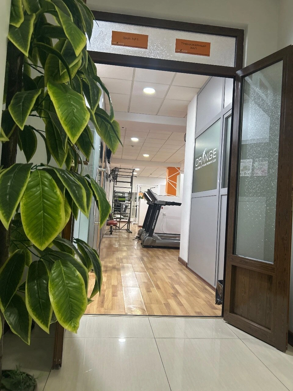 Orange woman