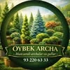 Oybek Archa