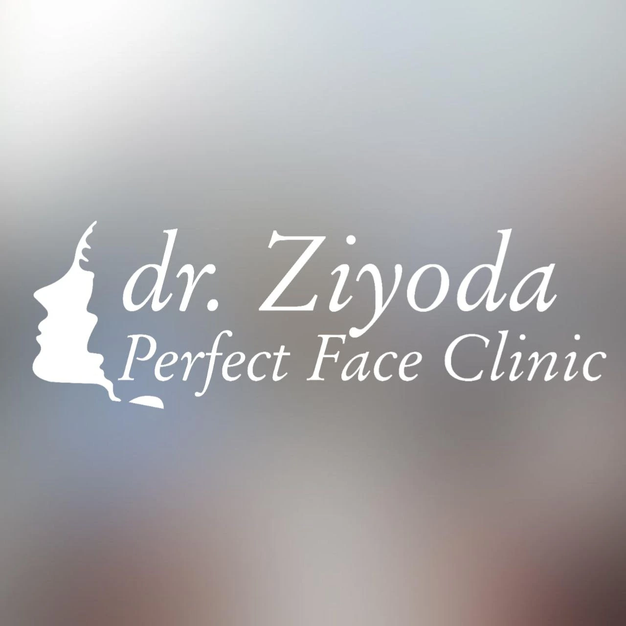 Perfect face