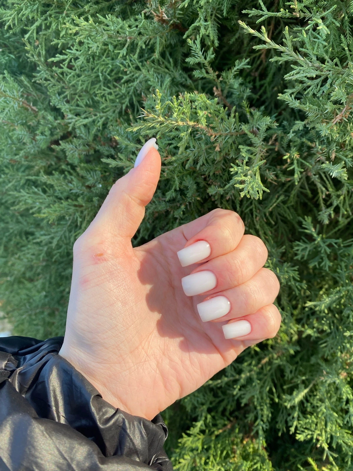 Podo nails