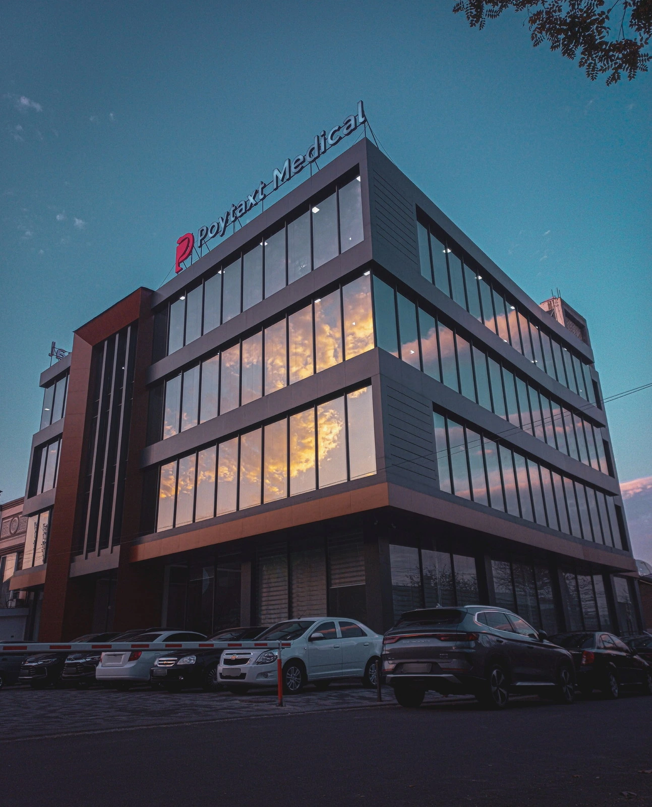 Poytaxt Medical