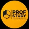 Prof study, учебный центр