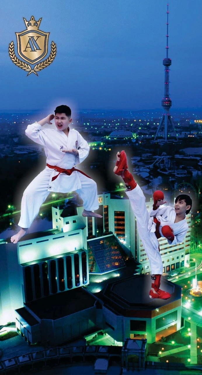 Profi karate klubi