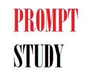 Prompt Study