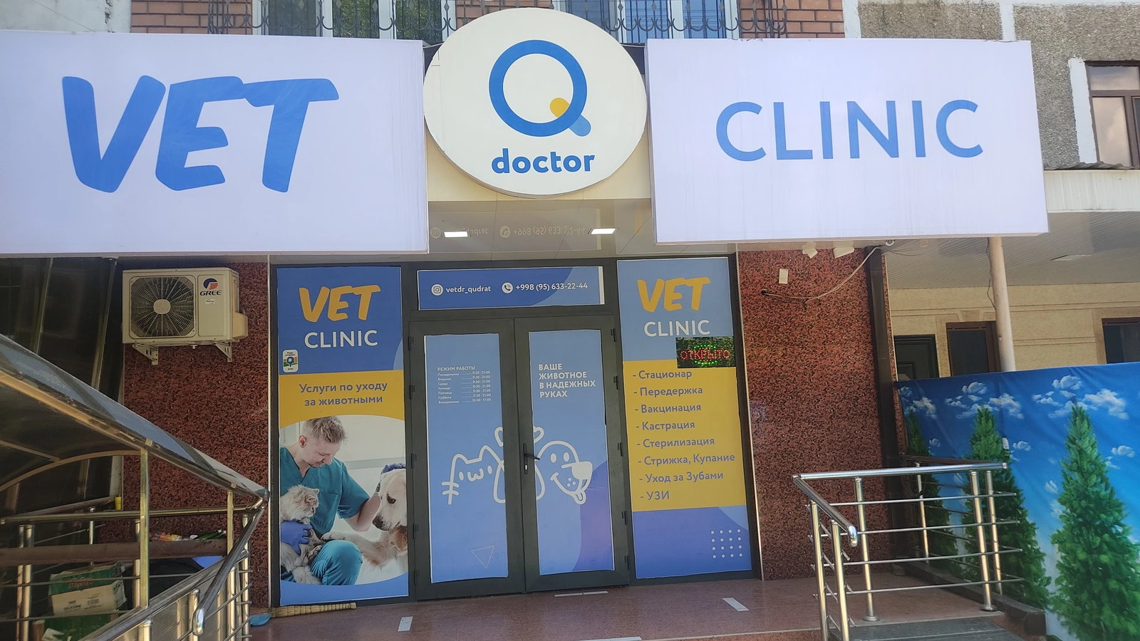 Q Doctor