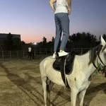 Rancho