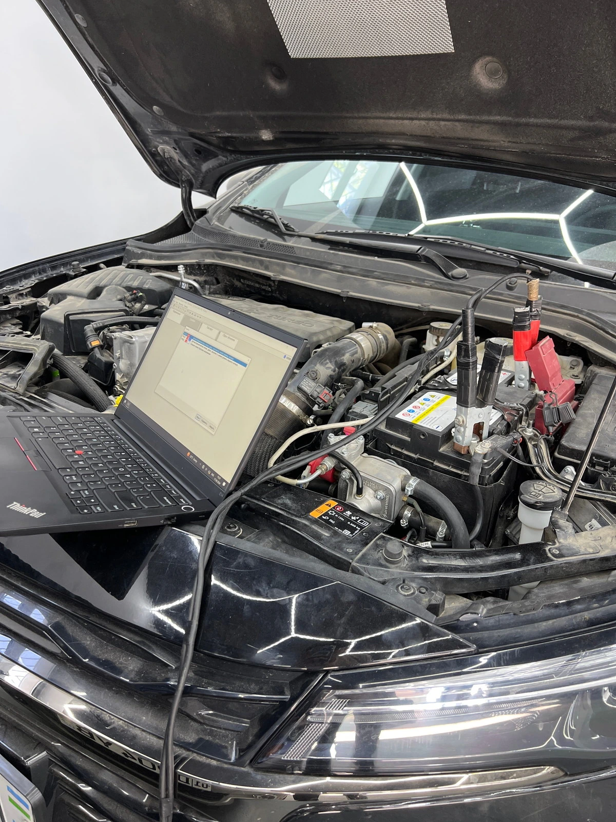 Said Performance