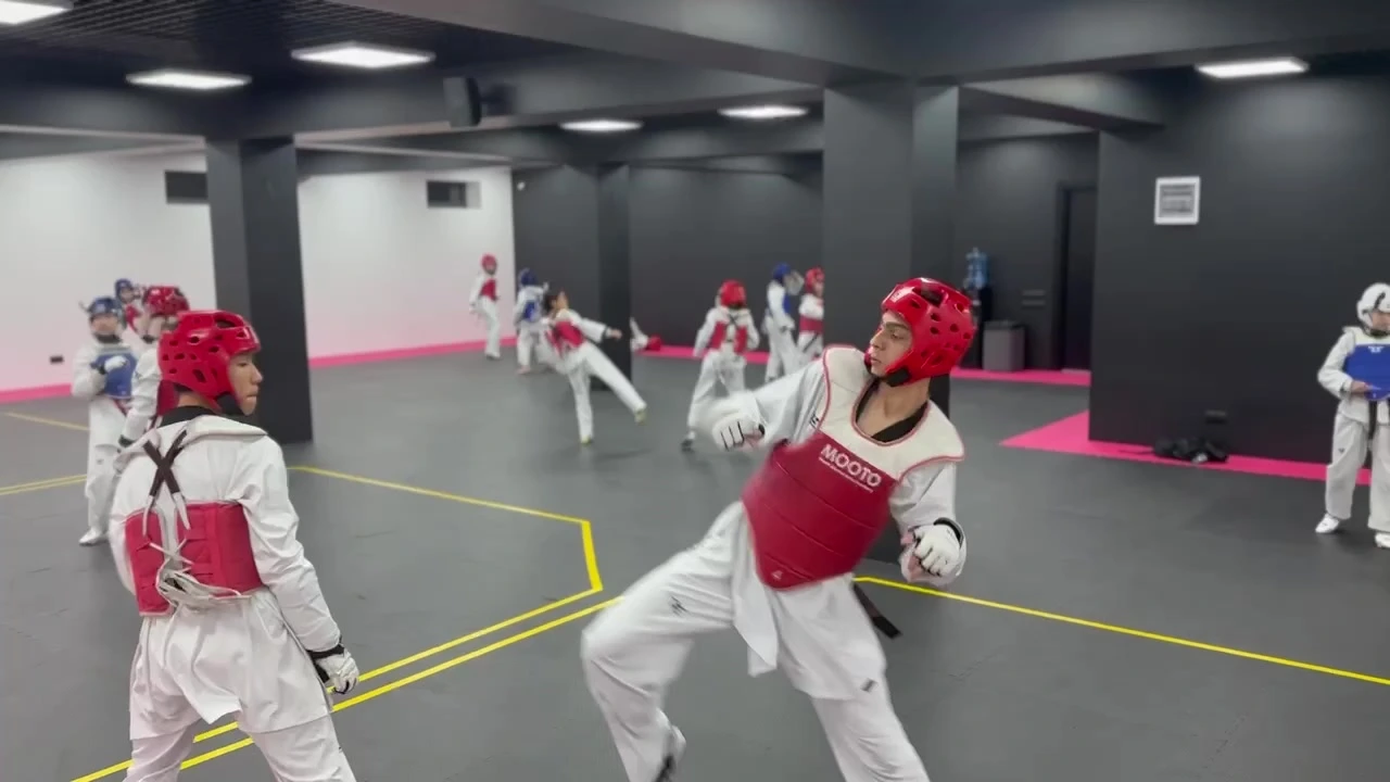 SC Leader Taekwondo