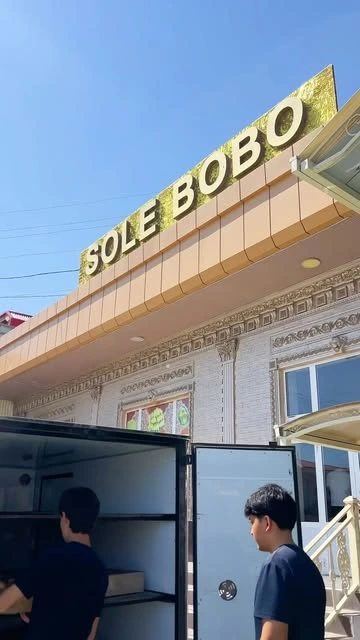 Sole bobo