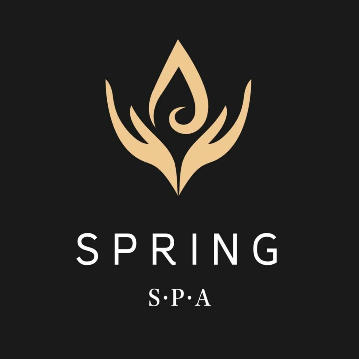 Spring SPA | 春晓