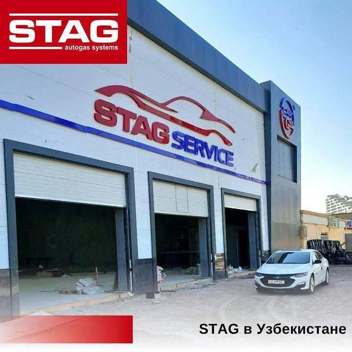 Stag