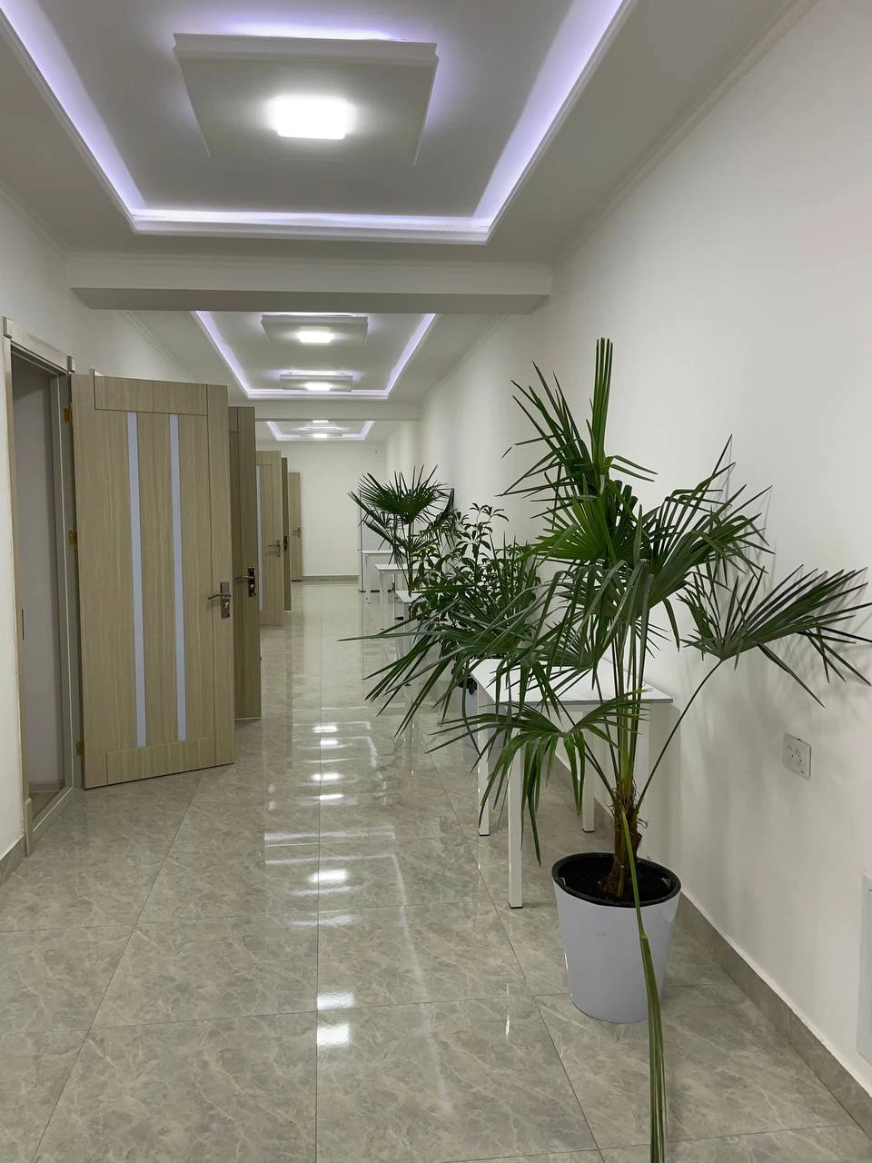 Star med, медицинский центр