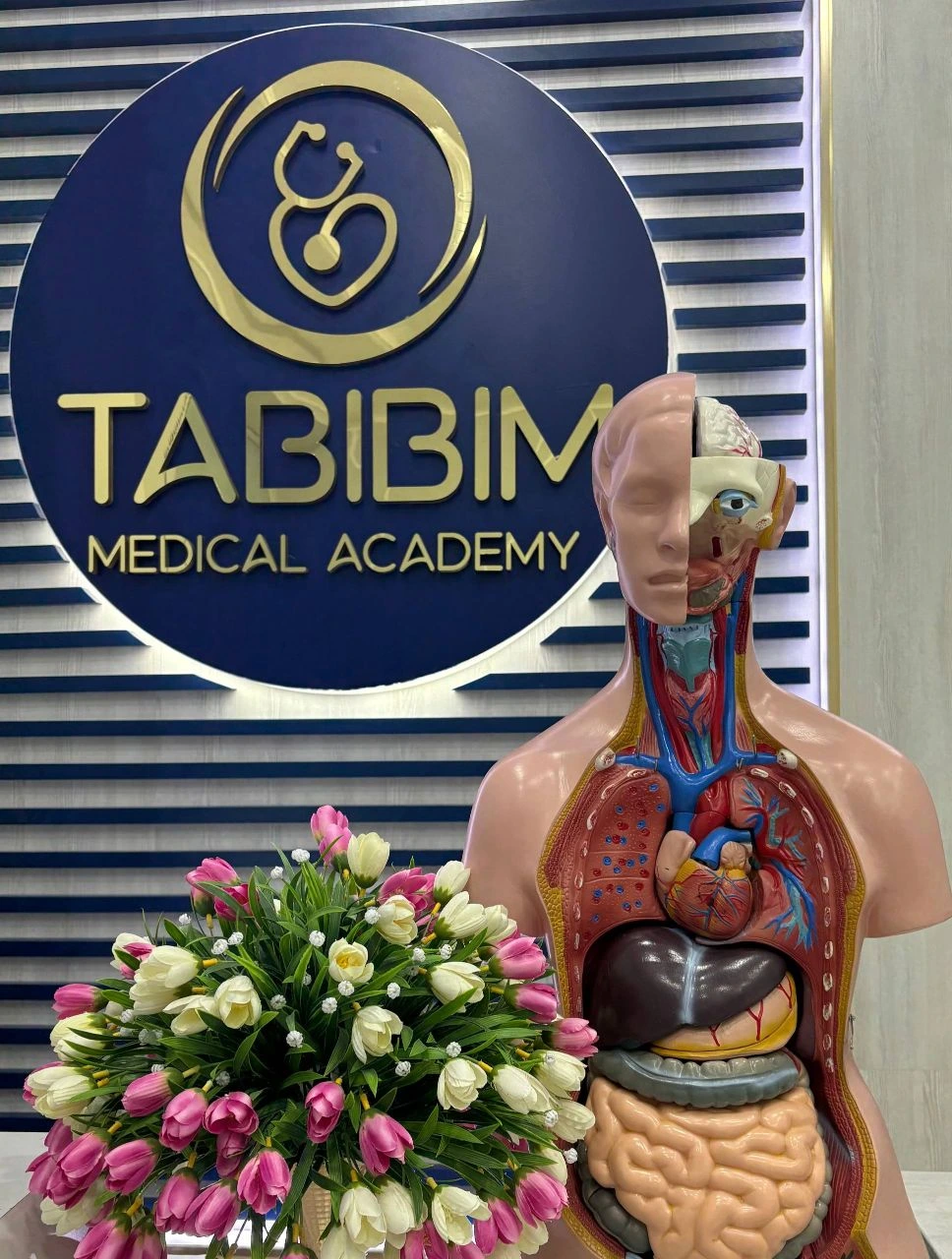 Tabibim medical academy, учебный центр