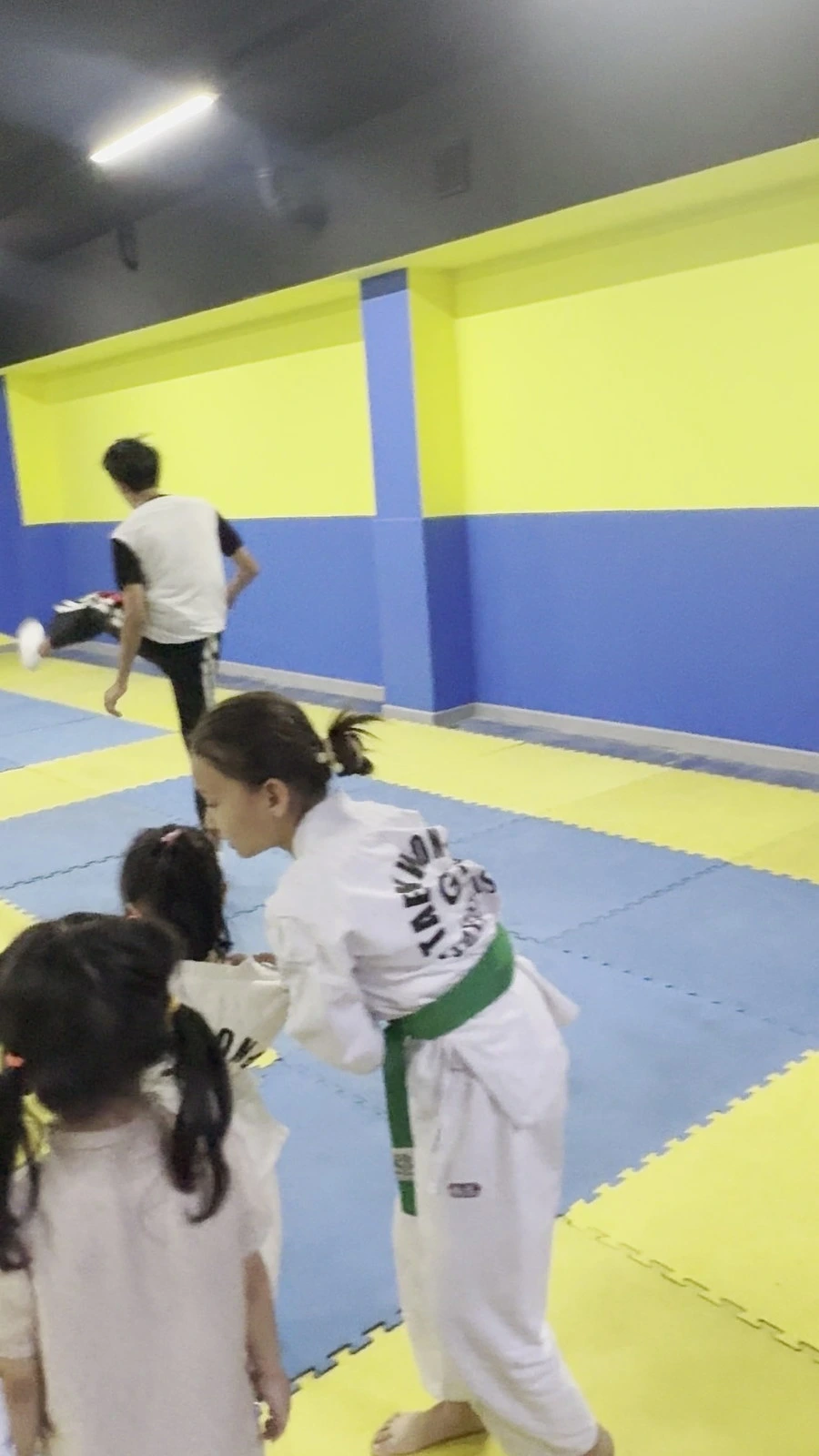 Taekwondo shams
