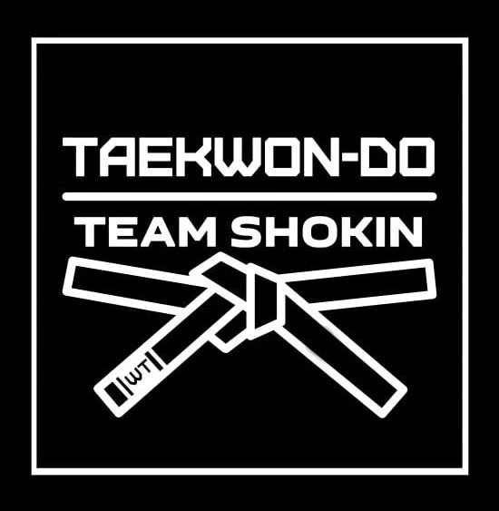 Team Shokin