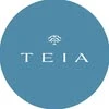 Teia