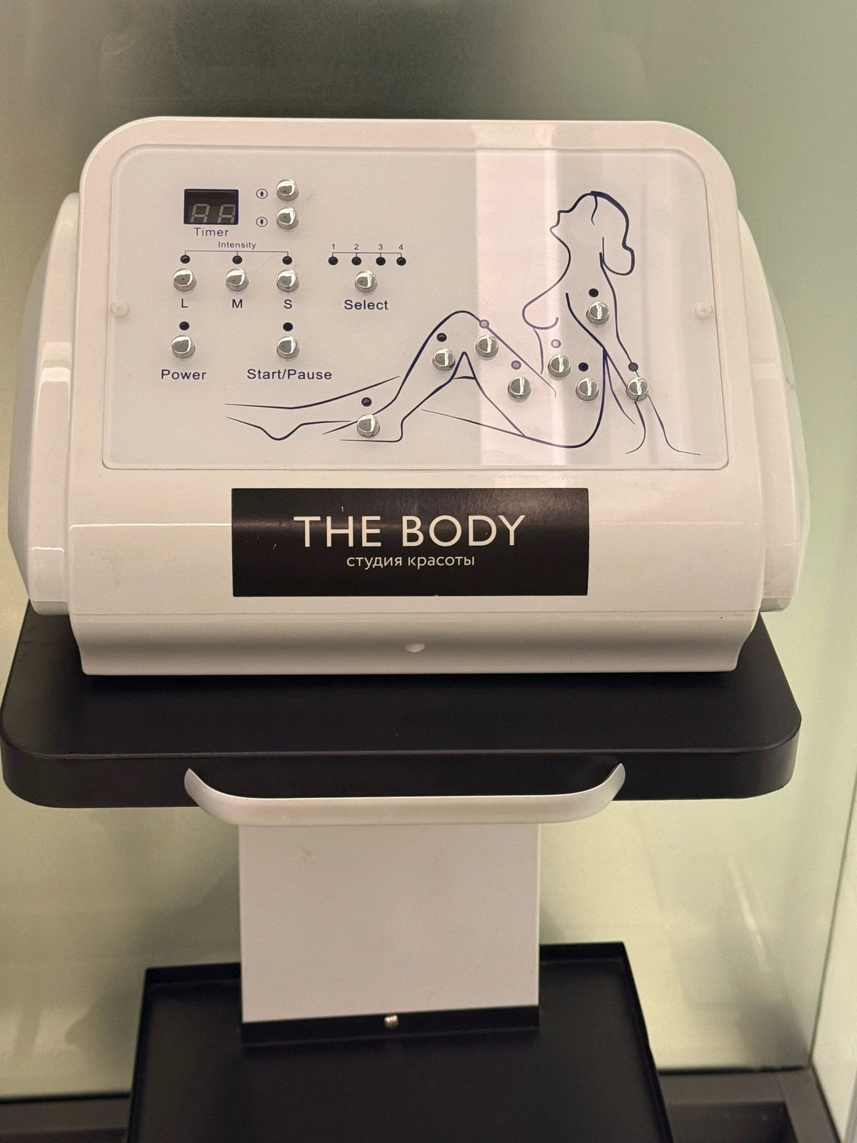The Body