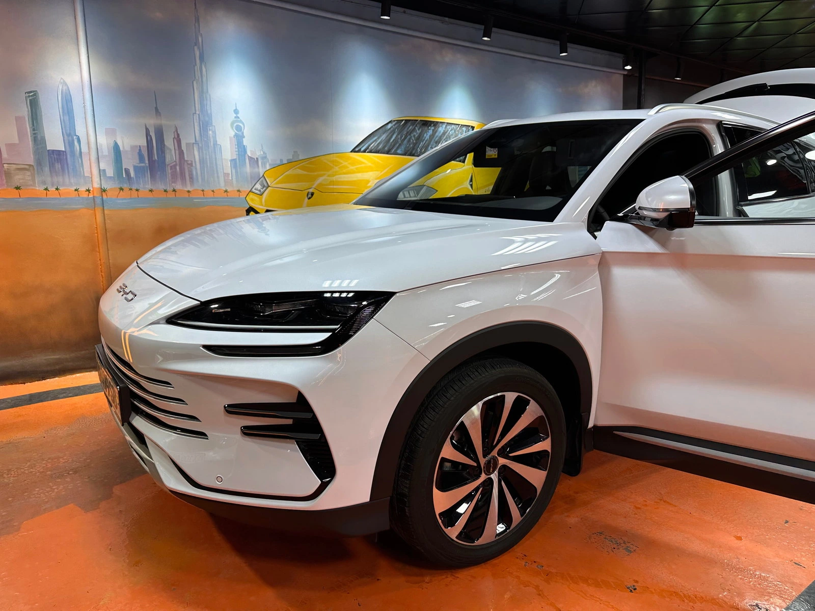 Urus