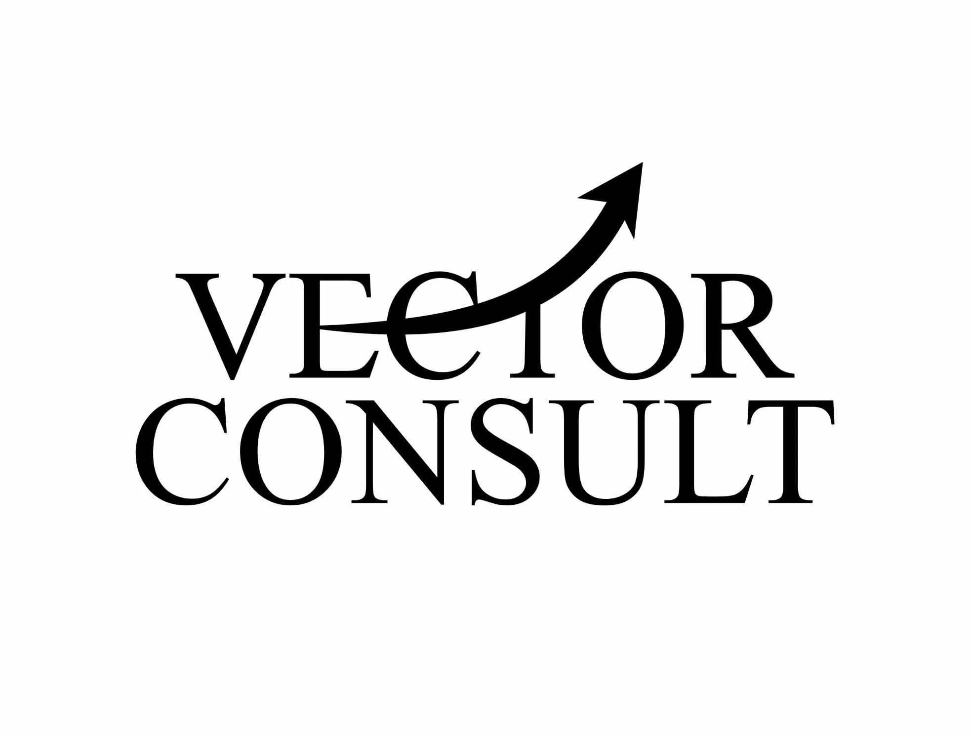 Vector Consult