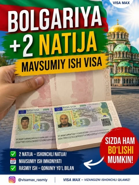Visa Max