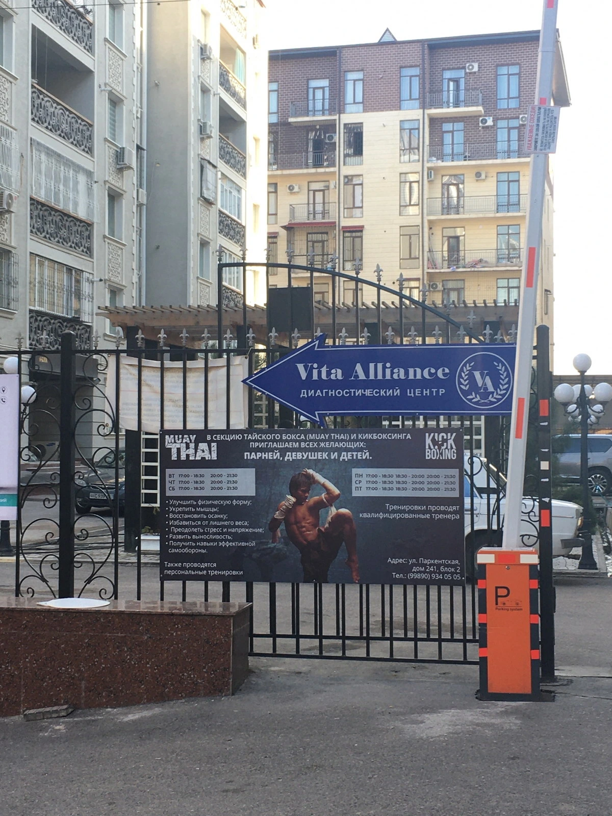 Vita Alliance