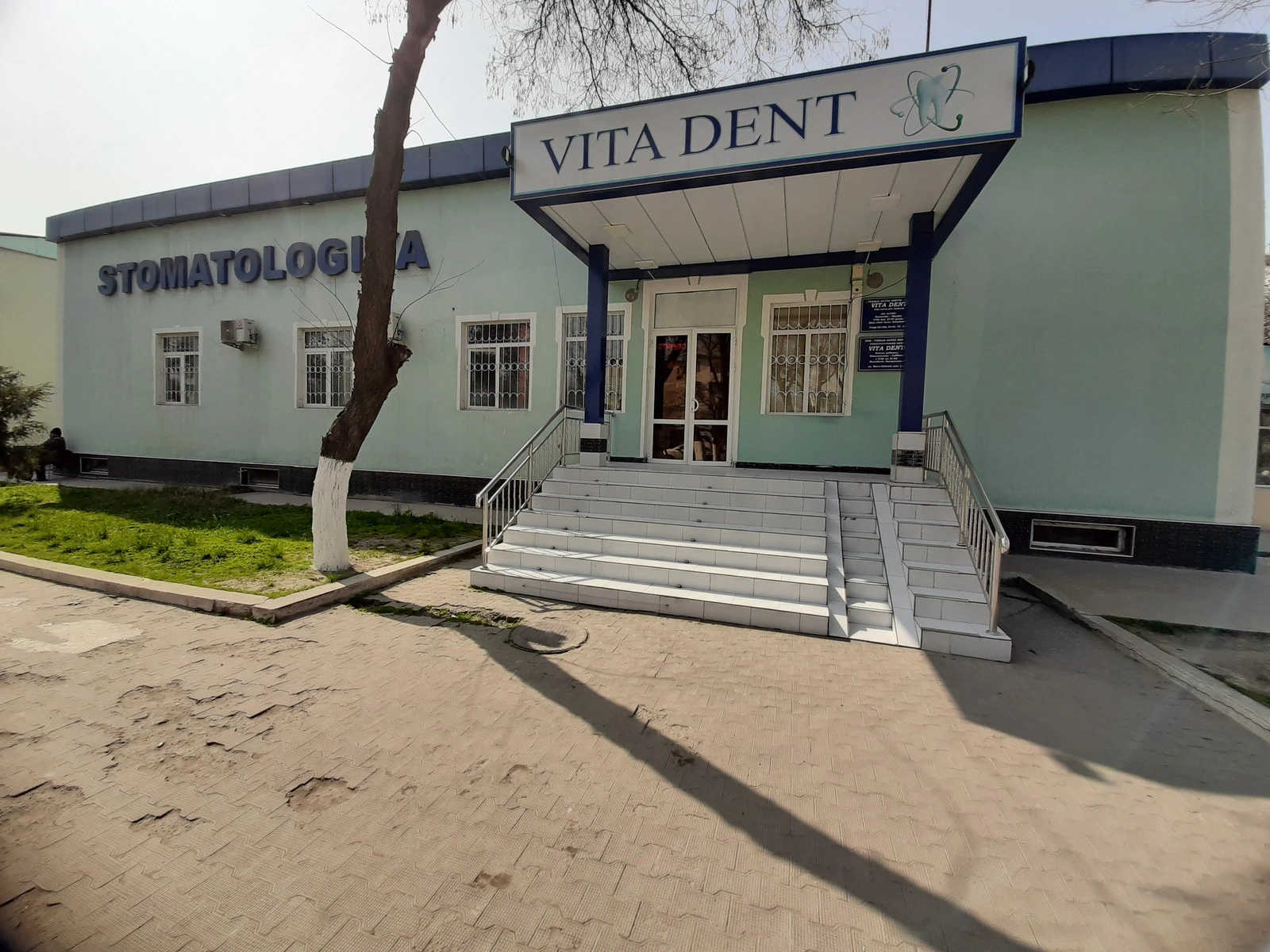 Vita dent