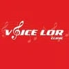 Voice LOR clinic