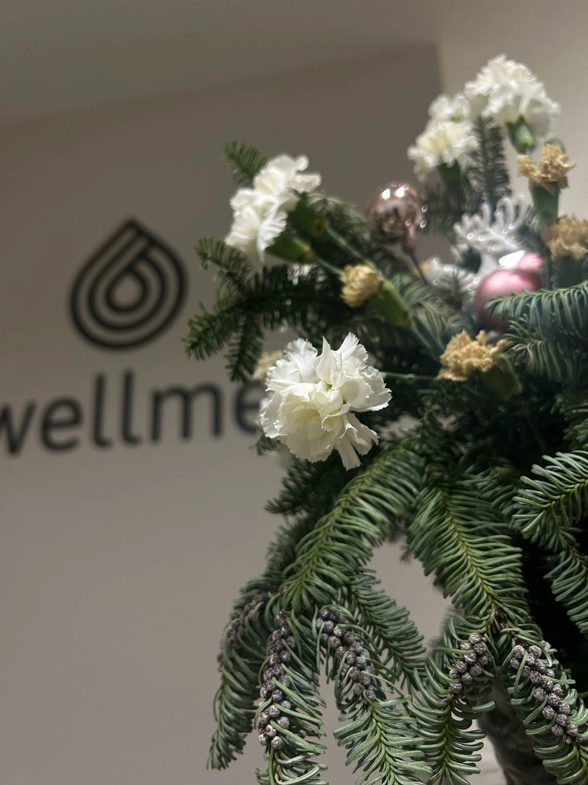 Wellme, студия йоги