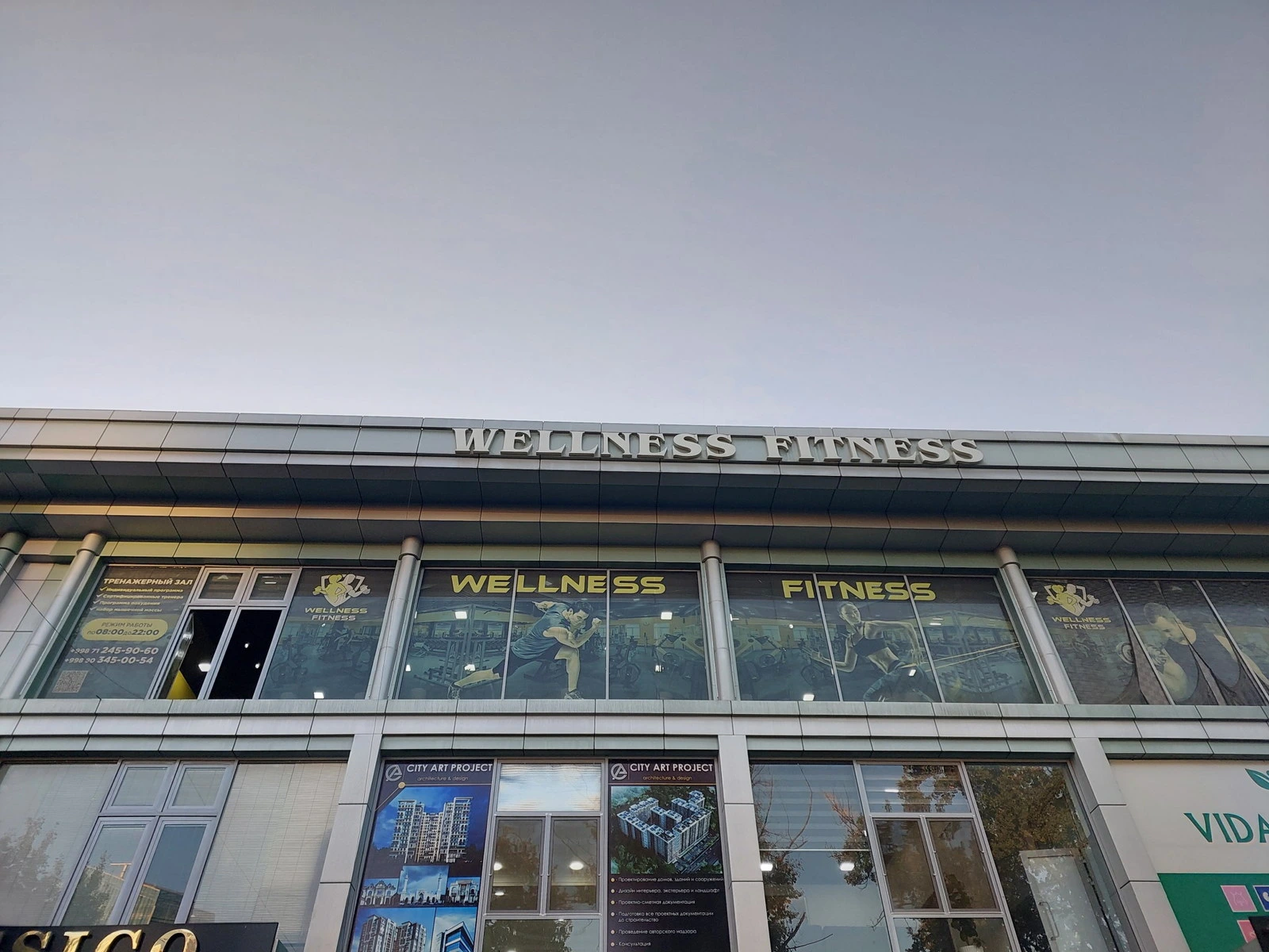 Wellness fitness