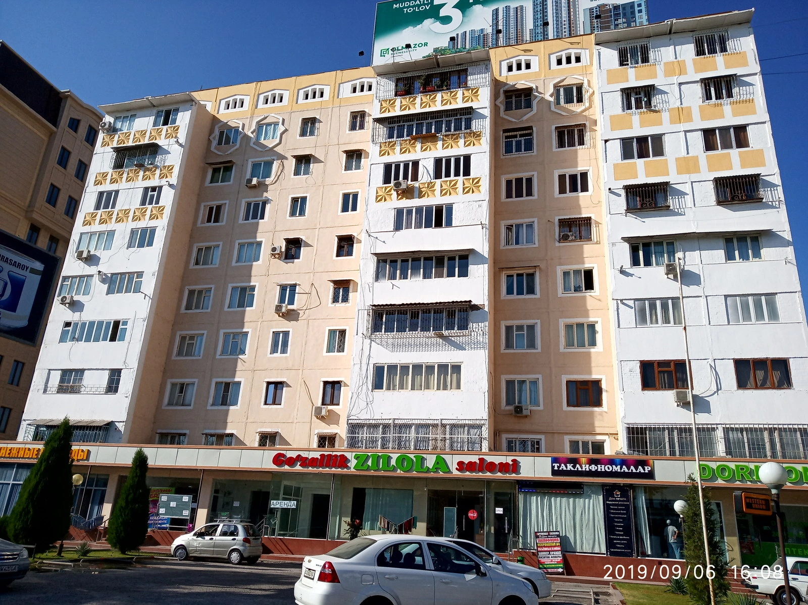 Zilola