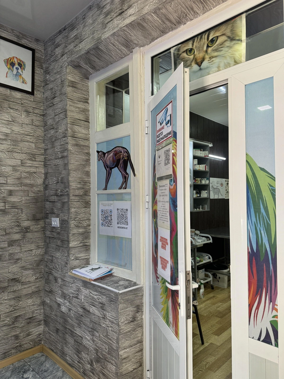 Zoocenter, ветеринарная клиника